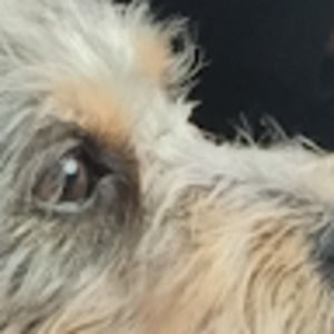 Meet your Posher, Zach